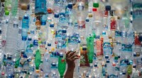 Global Plastic Recycling Stagnates at 9%: OECD Urges Coordinated Action