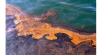 Sunlight Accelerates Dissolution of Oil in Seawater, Study Finds