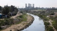 UNDP Launches $66M, 10-Year Initiative to Clean Gaza Valley Wetlands, Establishing First Nature Reserve