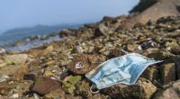 Discarded Surgical Masks Endanger Marine Life and the Food Chain