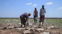 UN Warns 13 Million at Risk of Hunger as Horn of Africa Drought Escalates