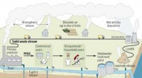 Assessing the Environmental Impact of PFAS-Containing Products: A Comprehensive Review