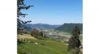 New Study Confirms Last Ice Age Broadened Aare and Gürbe Valleys