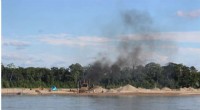 Peruvian Gold Rush Turns Amazon Rainforests into Major Mercury Pollution Hotspots