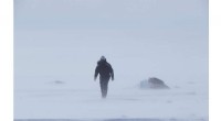 AI-Driven Search Uncovers Meteorites in Antarctica: A Machine Learning Breakthrough