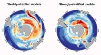 Refining Climate Models for Precise Predictions of Carbon and Heat Uptake in the Antarctic Ocean