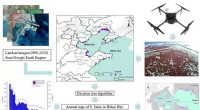 Trends in Coastal Wetland Distribution and Key Drivers in Bohai Bay