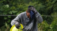 New Study Shows Climate Change Exacerbates Heat-Related Strain on Outdoor Workers