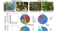 Widespread Soil Microplastic Contamination in Tropical Xishuangbanna Revealed