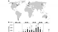 Global CO₂ Rise Impacts Photosynthesis in Peat-Forming Mosses (Sphagnum)