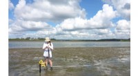 Seagrass: A Sustainable Alternative to Seawalls for Protecting Coastal Communities