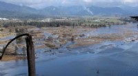 Tillamook Bay Wetlands Restoration Yields Extensive Socioeconomic Gains, New Report Reveals