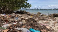 UGA Researchers Collaborate with Miami to Combat Plastic Pollution