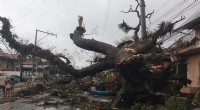 12 Fatalities Reported as Record-Breaking Typhoon Devastates the Philippines