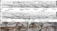 Unveiling the Mechanisms Behind Carbonate Mass‑Transport Deposits