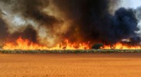 Australia s Remote Fires: A Professional Firewatcher s Perspective on the Unprecedented Wildfire Scale