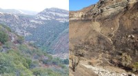 Study Reveals How Drought and Fire Jointly Transform Stream Ecosystems, Emphasizing Headwater Conservation