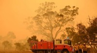 Study Finds Climate Change the Primary Driver of Australia’s Record‑Breaking Bushfires