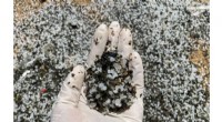 New Study Highlights Obstacles in Cleaning Burnt and Unburnt Nurdles from Sri Lanka s Coastlines