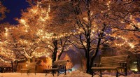 Light Pollution: A Key Factor When Installing Holiday Lights