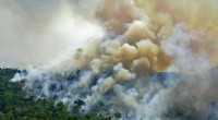 Brazil Amazon Deforestation Soars 22% in One Year – 15-Year Record