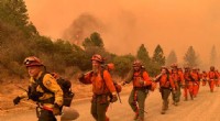 Study Reveals Rising Climate‑Driven Forest Fires Threaten Western Forests