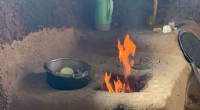 Groundbreaking Study Promises Rapid Growth of Clean LPG Cooking in Sub‑Saharan Africa