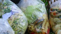 Reduce Food Waste: 5 Practical Strategies and Their Environmental Impact