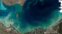 Midwest Lakes Face Cyanobacteria Blooms Exceeding WHO Health Thresholds