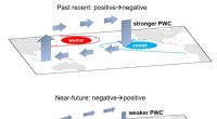 Natural Pacific Ocean Variability Drives Decade-Long Intensification of the Pacific Walker Circulation