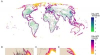 Mapping Human Sewage Impact on Global Coastal Ecosystems
