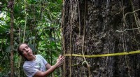 Scientists Warn: The Amazon is Essential for Life on Earth