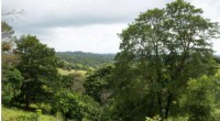 Secondary Forests Rejuvenate Freshwater Quality in Degraded Landscapes