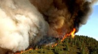Mapping California’s Annual Wildfire Risk: New UCSB Insights