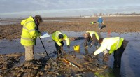 A Century of Coastal Change on Mersea Island: Archaeological Insights