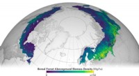 ESA and NASA Release First Global, Harmonized Above‑Ground Biomass Assessment