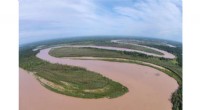 Naturally Meandering River Beds Outperform Straightened Channels as Carbon Sinks