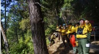 Tribal Fires: Restoring Nature & Communities Through Ancient Fire Practices