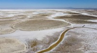 Lake Tuz in Turkey Vanishes: Climate Change and Unsustainable Agriculture Drive Crisis