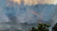 New Study Reveals How Amazon Forest Fires Shape Rain Cloud Formation