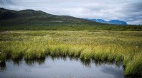 Permafrost: A Looming Carbon Crisis