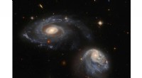 Hubble Reveals Two Interacting Galaxies in the Arp-Madore 608-333 Pair