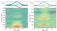 New Highly Circularly Polarized, Variable Pulsar Discovered in the Large Magellanic Cloud