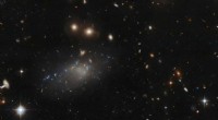 Hubble Reveals the Enigmatic Ultra-Diffuse Galaxy GAMA 526784
