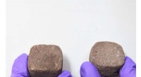 Bacteria-Enhanced Martian Bricks: Pioneering Sustainable Mars Settlements