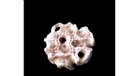 Revolutionizing Space Health: 3D-Printed Bone for Emergency Care