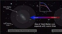 Unveiling Dark Matter: Insights from Distant Spiral Galaxies