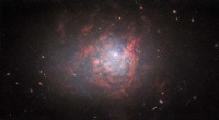 Hubble Telescope Reveals Starbursting Dwarf Galaxy NGC 1705