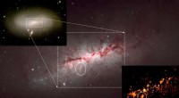 Unveiling Spiral Galaxy Evolution: How NGC 4424 Sheds Light on Cosmic Destiny