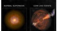 Astronomers Spot the Brightest X‑ray Supernova in the Rare  Cow  Class